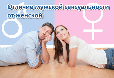 Чем мужская сексуальность отличается от женской